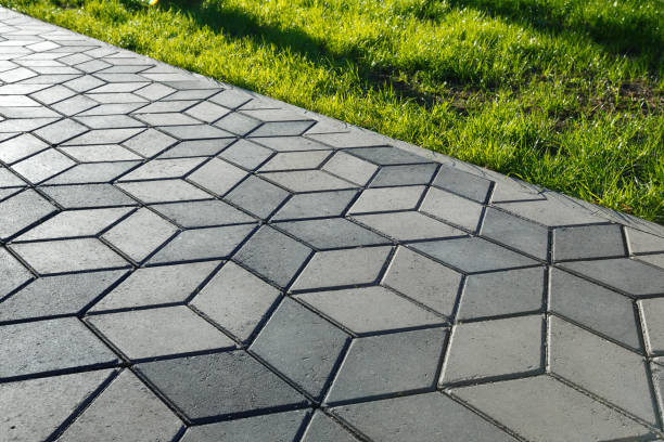 Best Driveway Paving Contractor  in Monte Alto, TX