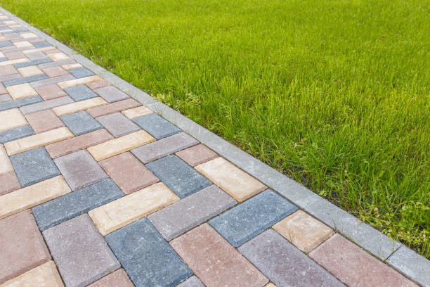 Best Local Driveway Pavers  in Monte Alto, TX